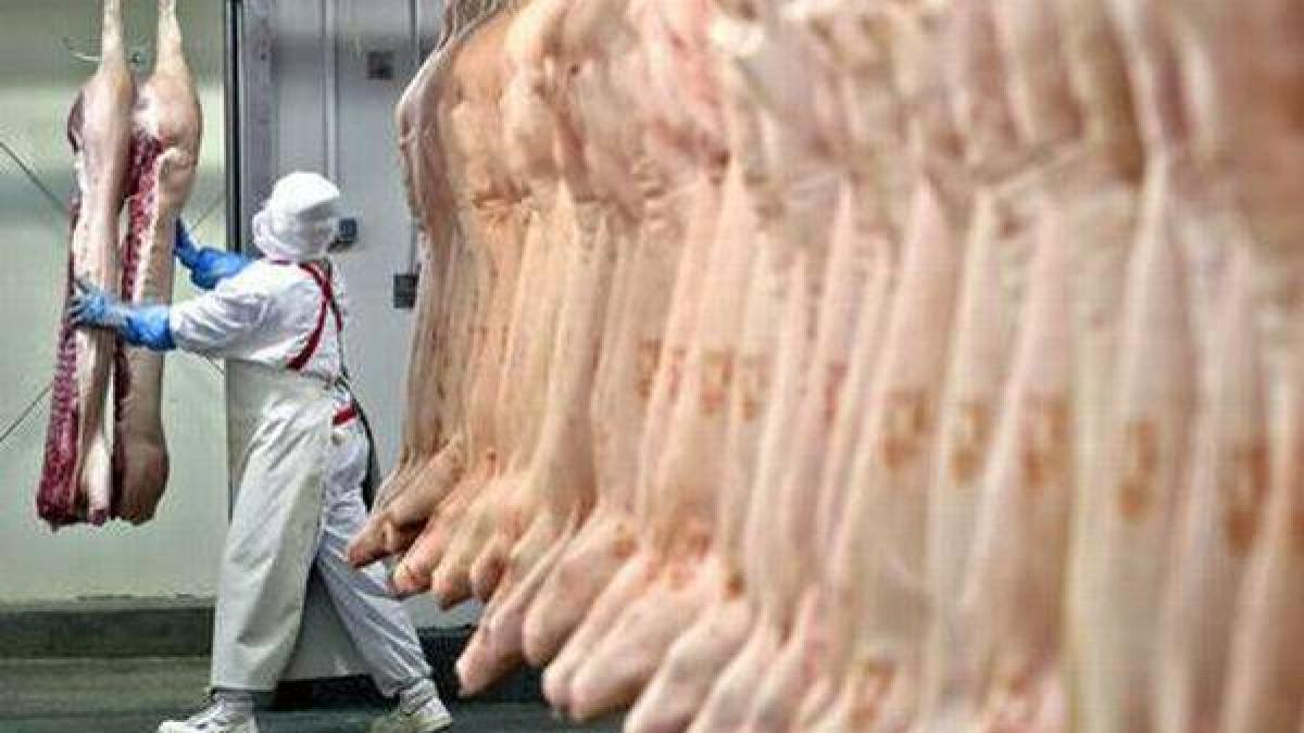 cantitatea uriasa de carne stricata ar fi putut imbolnavi un milion de romani cifrele dezastrului