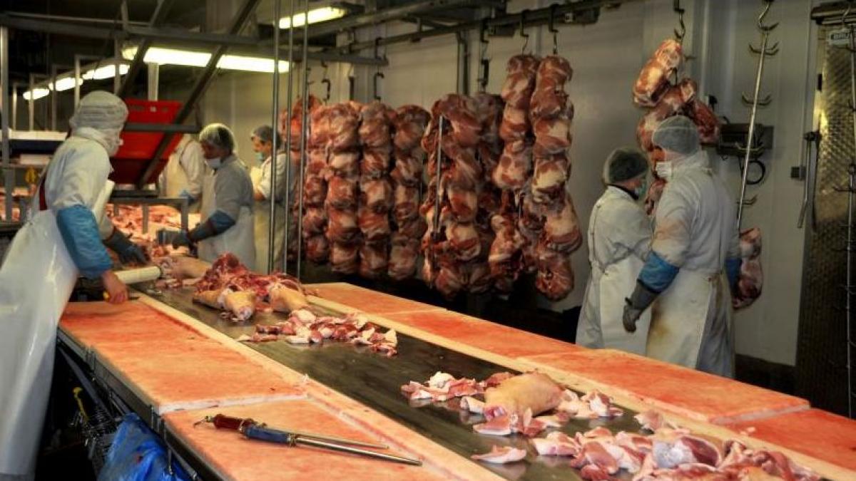 cazul privind mafia carnii initiat de sri la inceputul lui 2013 e o chestiune de securitate