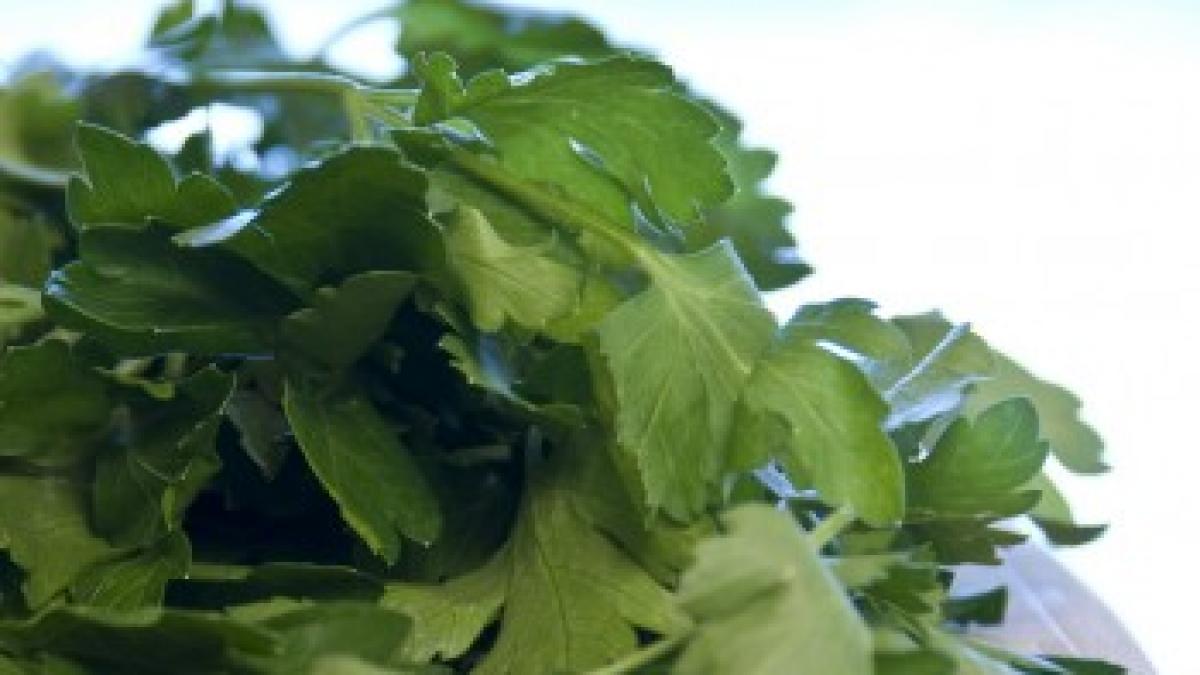 patrunjelul afla beneficiile plantei medicament