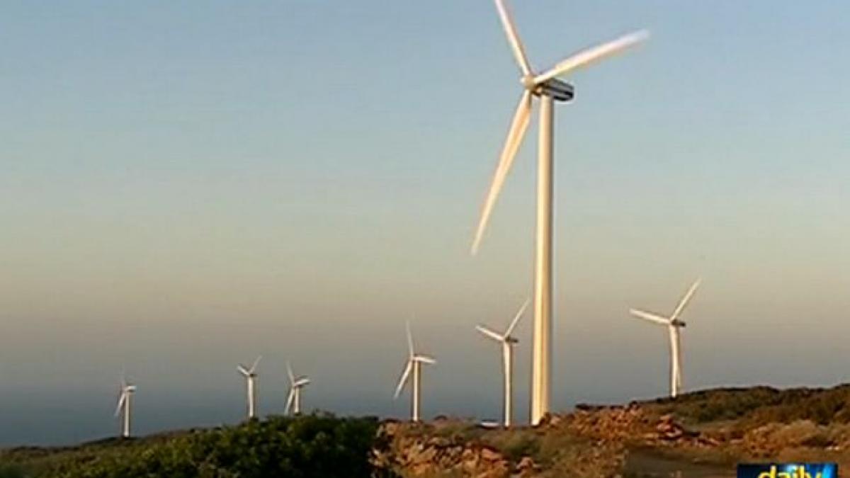 daily income razboiul morilor de vant