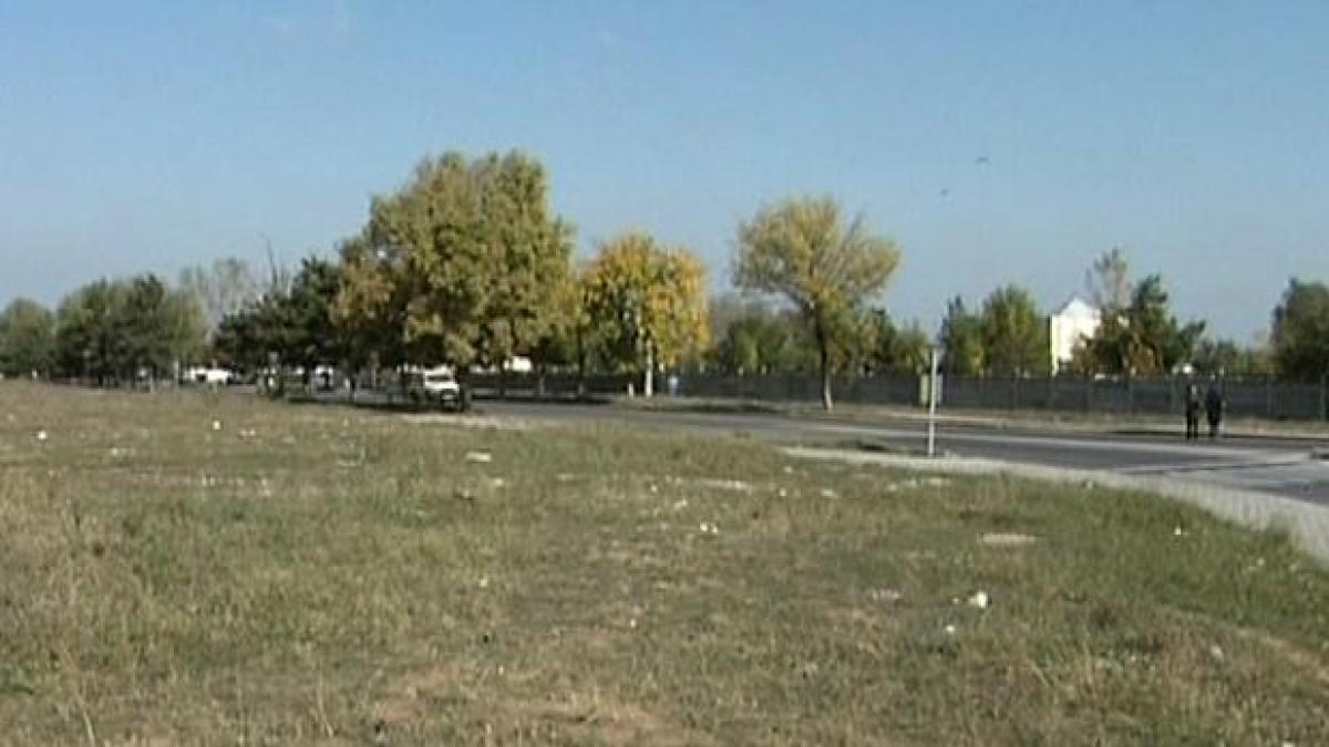 fiica lui gheorghe stefan tunuri imobiliare in bucuresti si piatra neamt