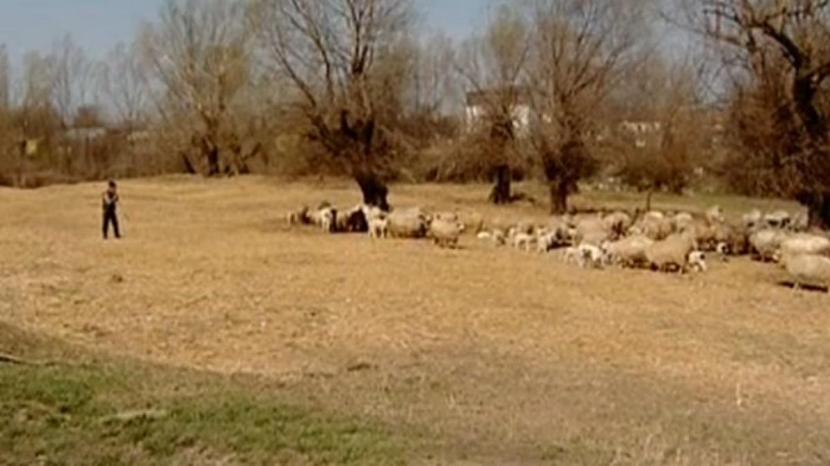 ca la noi la nimeni vindem strainilor materie prima ieftina si importam la preturi de top