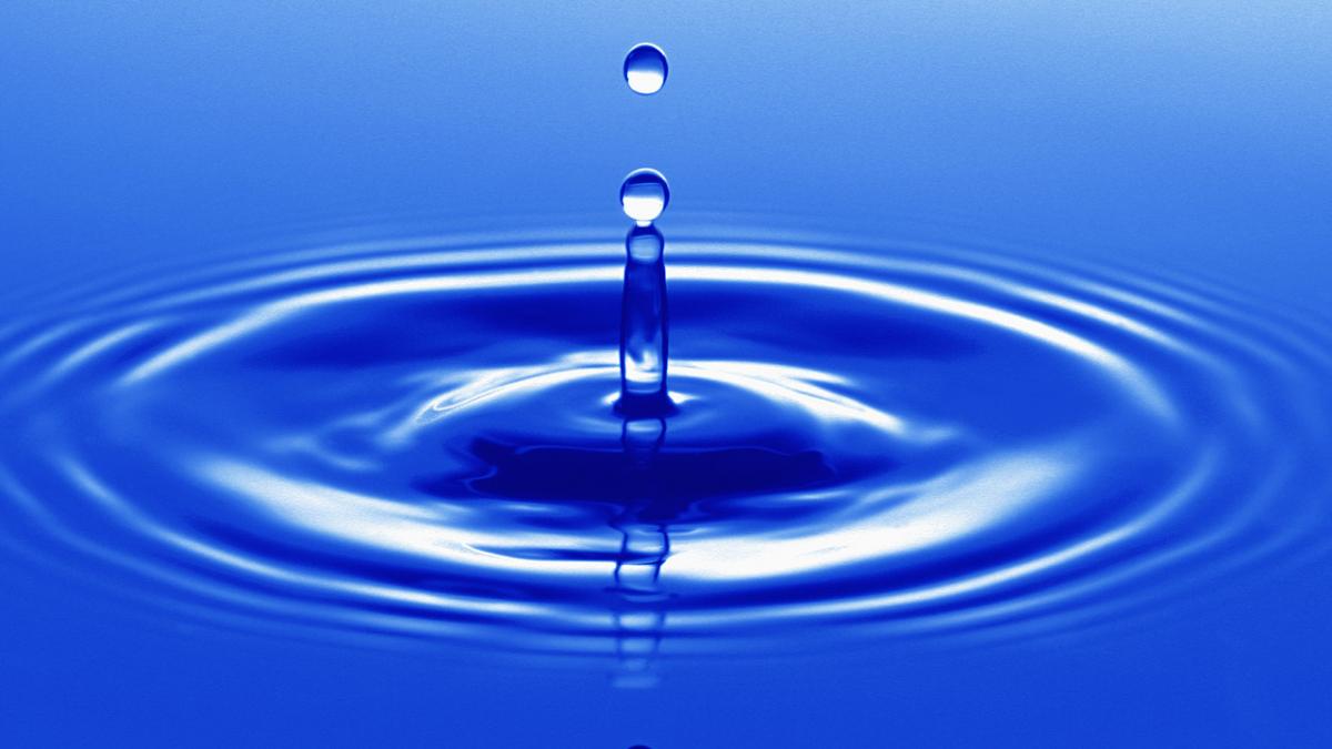 ziua mondiala a apei sarbatorita de sute de romani in piata universitatii