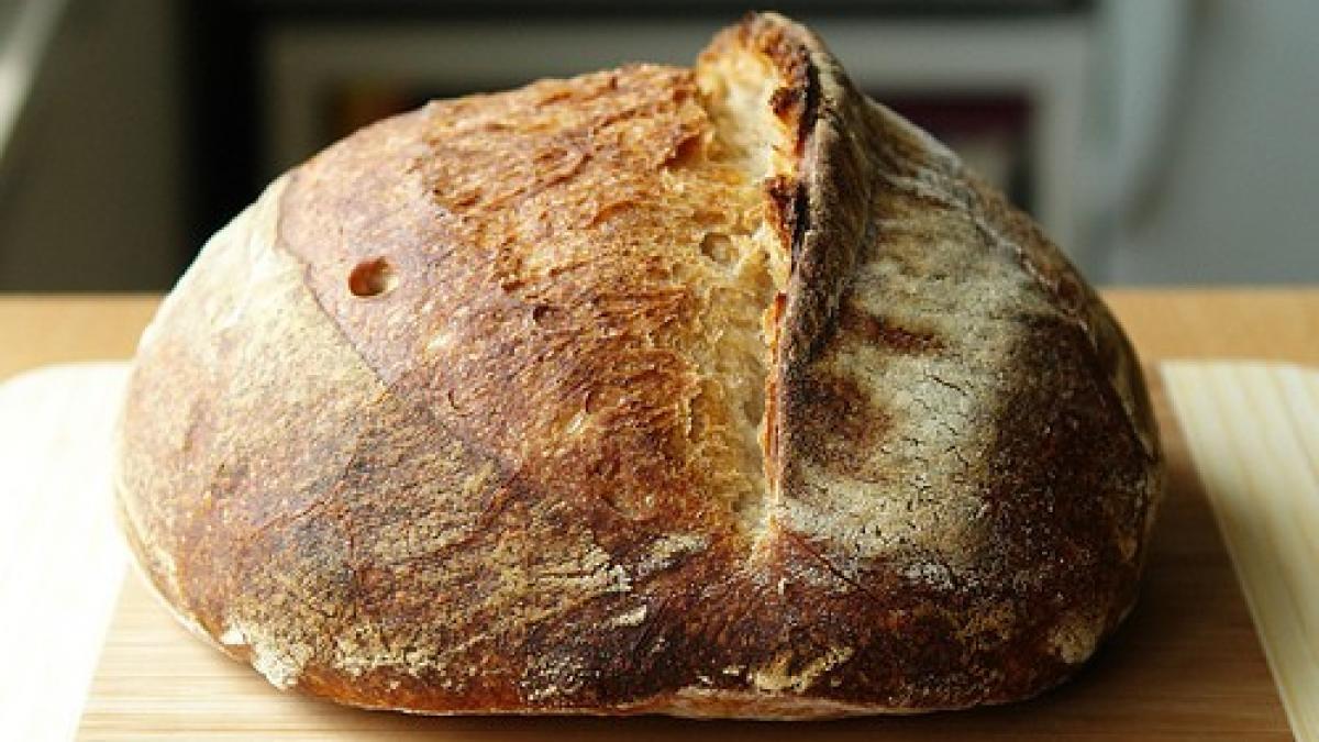 numai de bine simplitatea in bucate sanatate garantata painea noastra cea de toate zilele