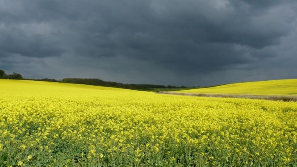 cum va fi vremea in urmatoarele doua zile prognoza meteo pentru miercuri si joi
