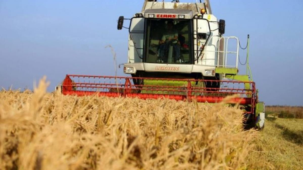 graul s a scumpit cu 20 pe fondul tensiunilor din ucraina