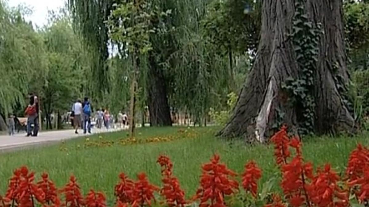 visul de 25 de milioane de euro al liberalului marian petrache parcul tematic mini romania