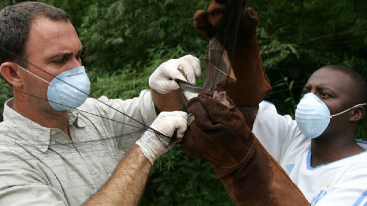 ebola se extinde si in liberia epidemia a facut 78 de victime pana in prezent