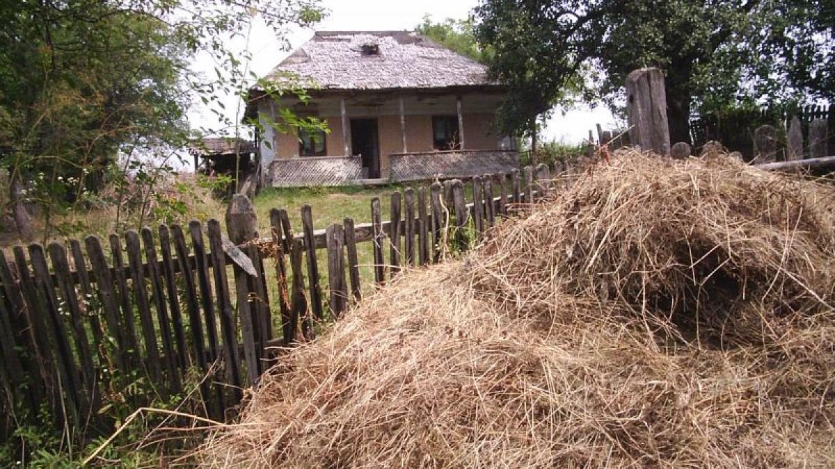 o palma de pamant a dus la moarte de om doi cumnati au fost omorati de doi frati dupa o cearta