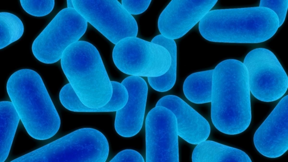 oamenii de stiinta au realizat primul cromozom artificial