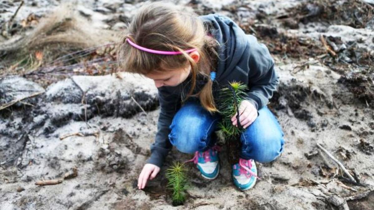 raport onu nimeni nu va scapa efectele schimbarilor climatice vor fi coplesitoare