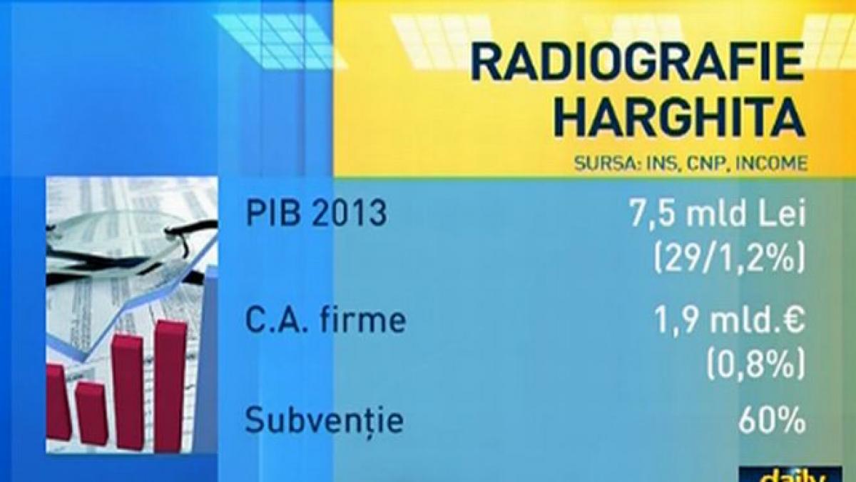 daily income cu cat sustin minoritatile economia