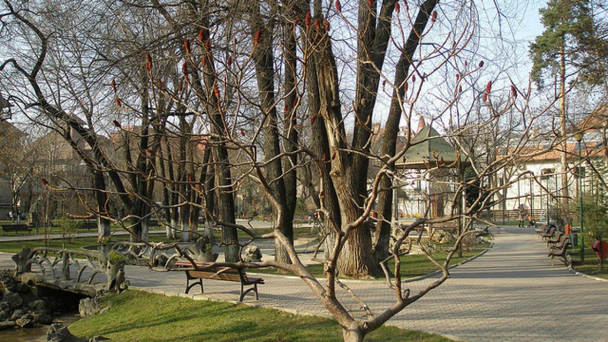 bucurestenii din sectorul 2 au ramas fara parc si parcarea din sector pe terenul respectiv se va