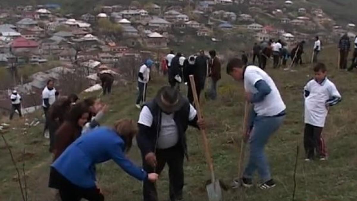 actiune de impadurire intr o localitate inundabila din judetul galati satenii au plantat pomi pe o
