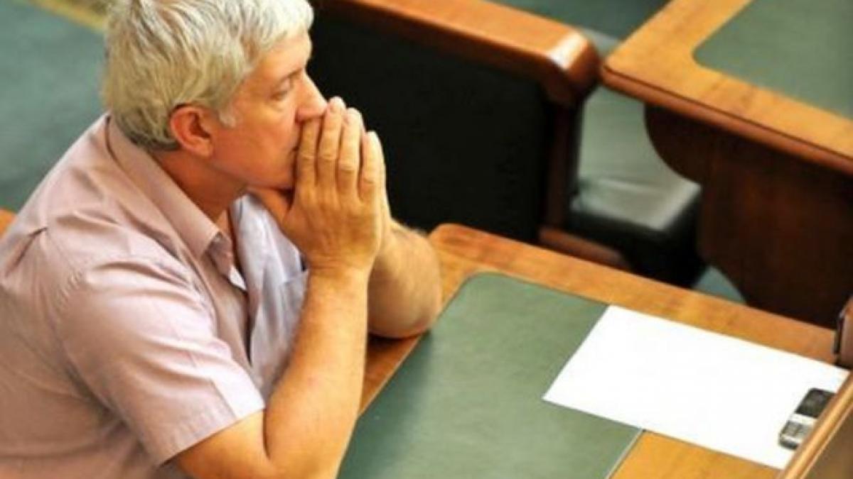 ani va ataca decizia tribunalului prin care diaconu poate candida la europarlamentare