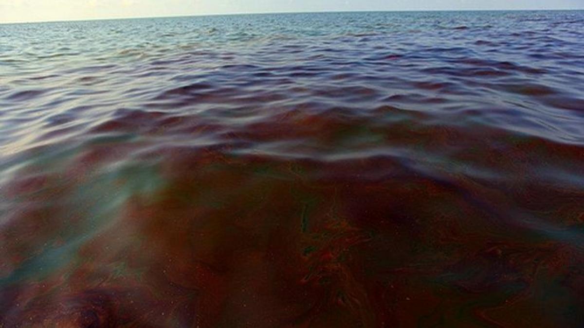 zona unde s a scufundat nava care a luat foc pe dunare poluata pe o suprafata de 400 metri