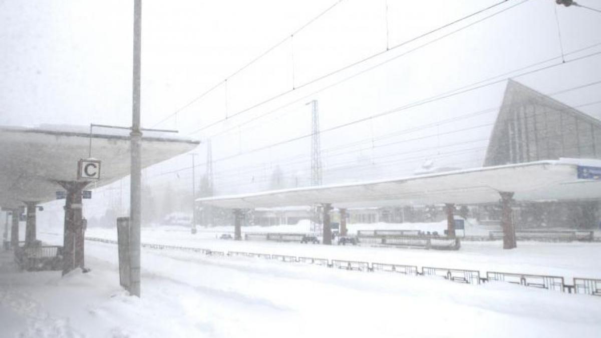 la munte ninge ca in povesti