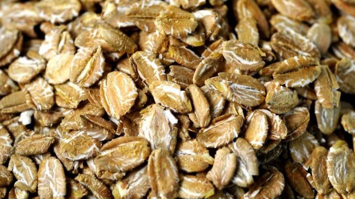 painea de secara romaneasca medaliata cu argint la geneva