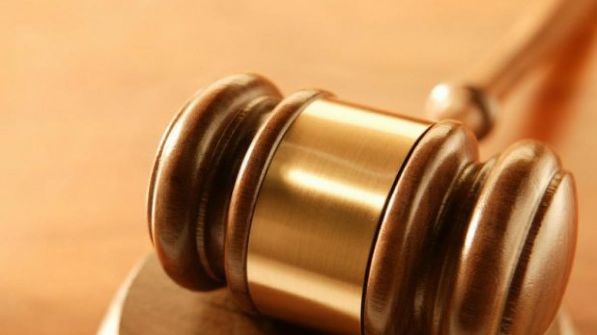 ambasadorii marilor puteri lauda activitatea ani si dna