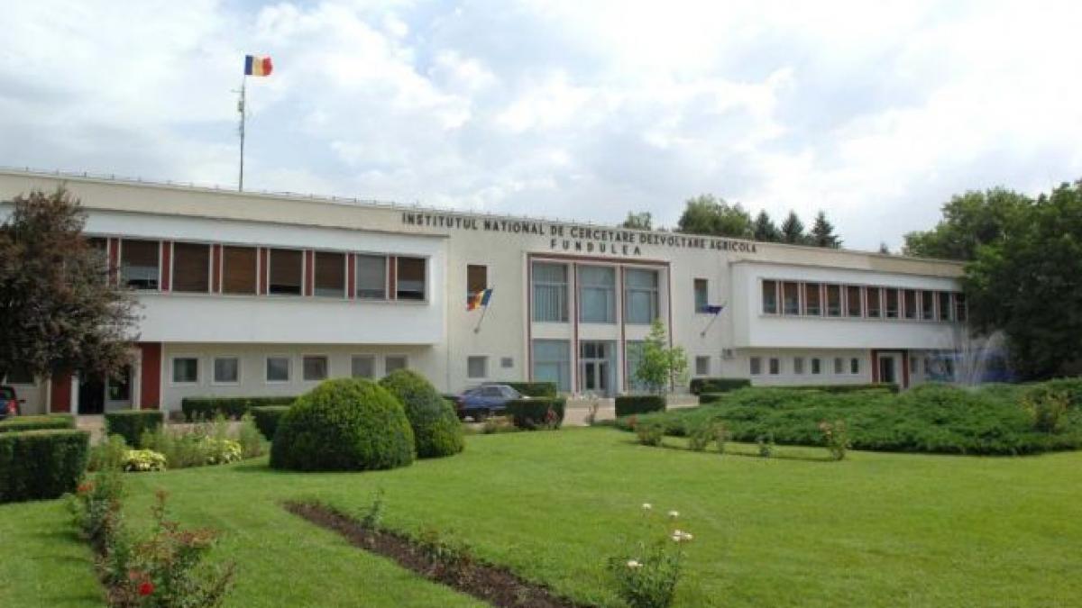 guvernul trimite dosarul fundulea la dna