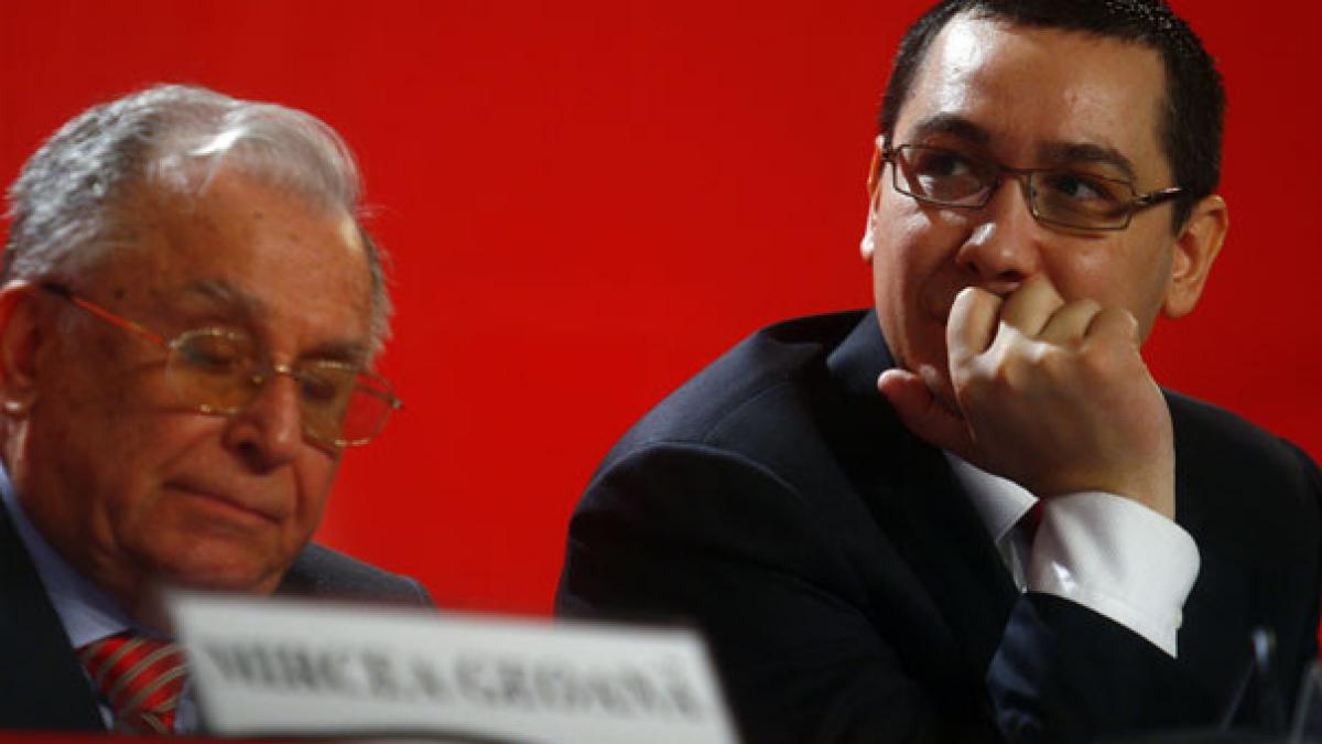 deziluzia optica bunicul si pisicul