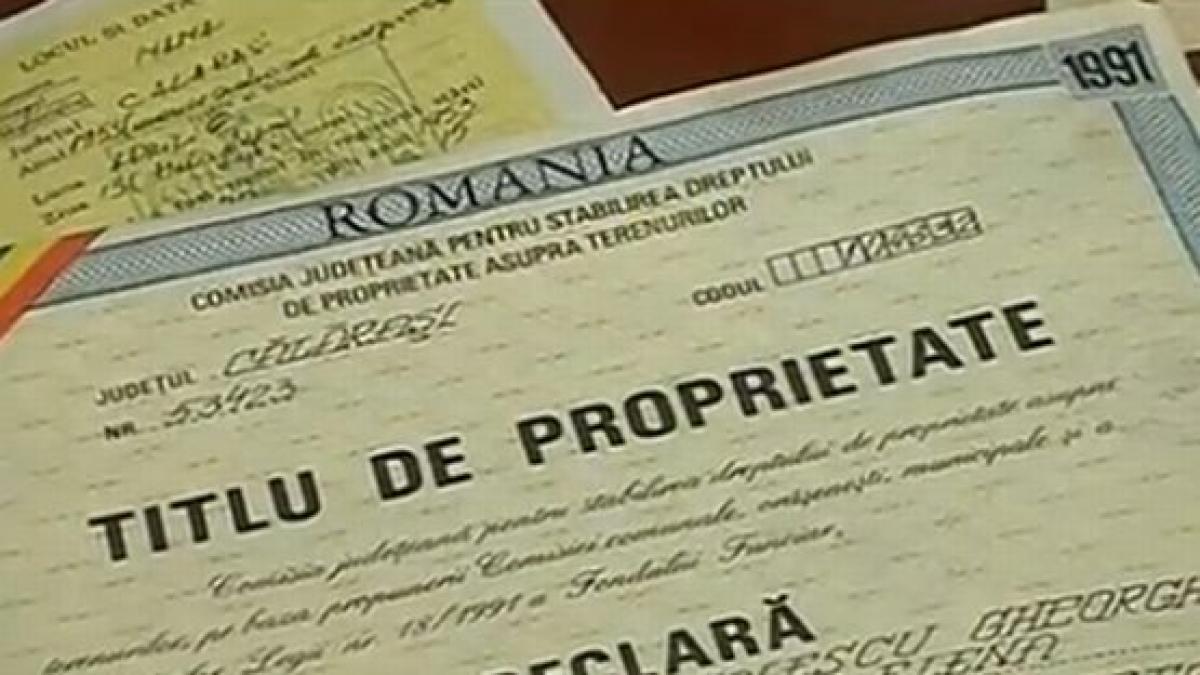 afacerea nana construita pe ilegalitati 9 din 14 angajati ai primariei au depus cereri de