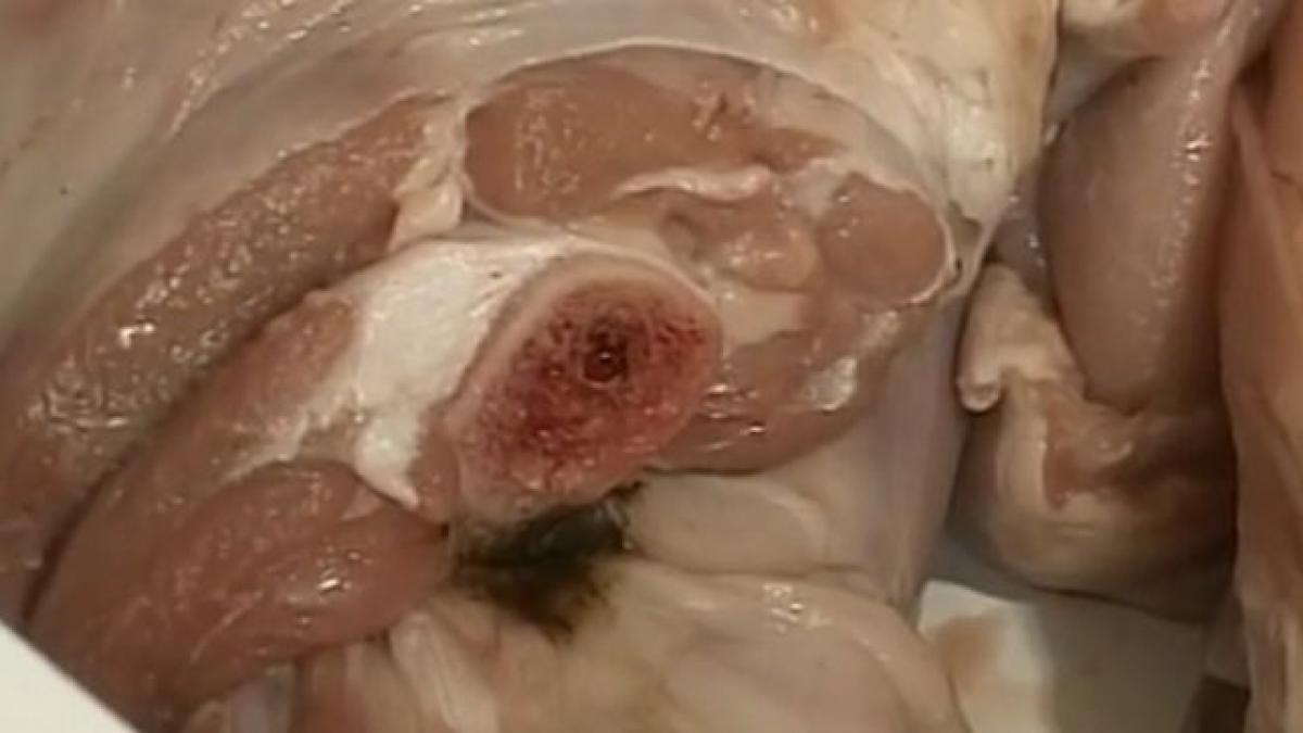 miei cu bucati de blana si urme de fecale la hipermarket