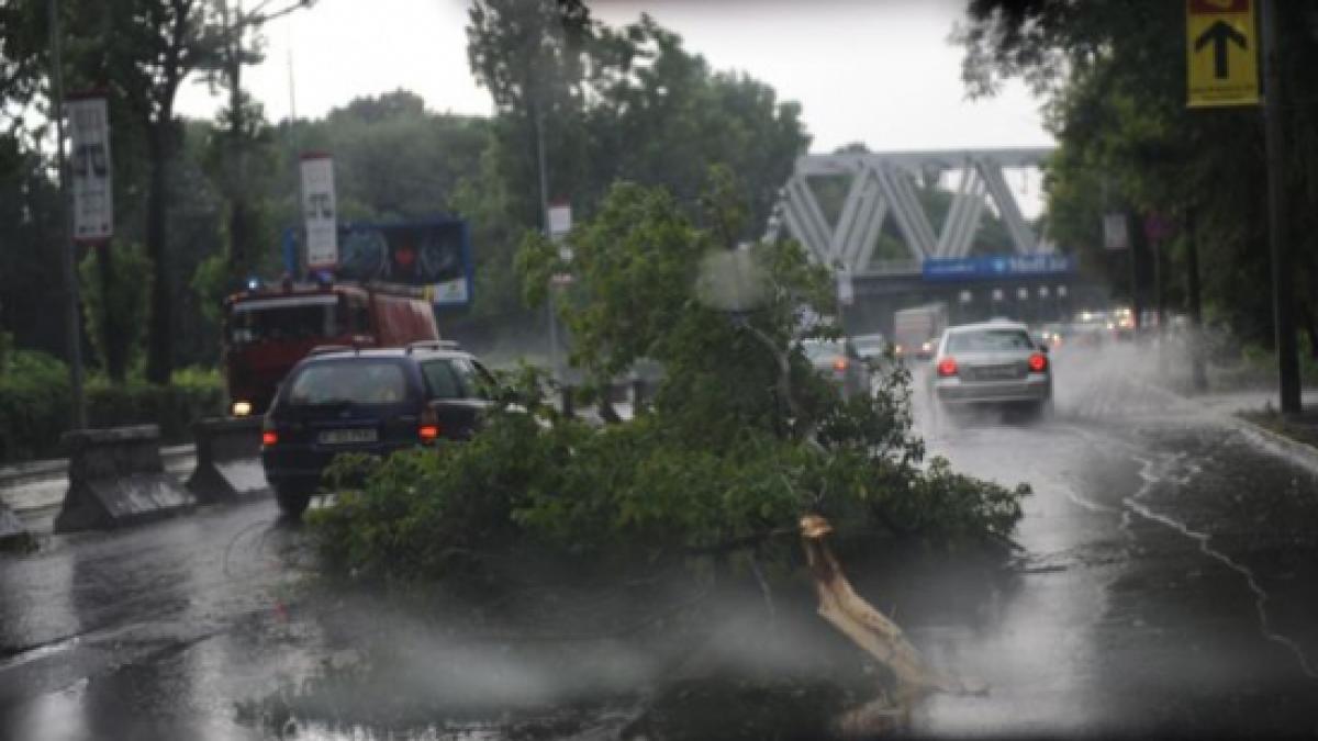 un adolescent de 15 ani a ajuns in stare grava la spital dupa ce un copac a cazut peste el