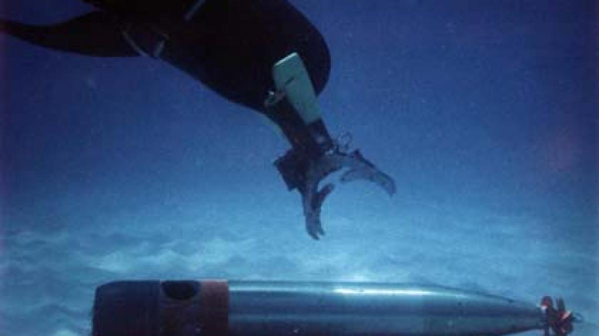 delfinii militari ai sua exercitiu in marea neagra