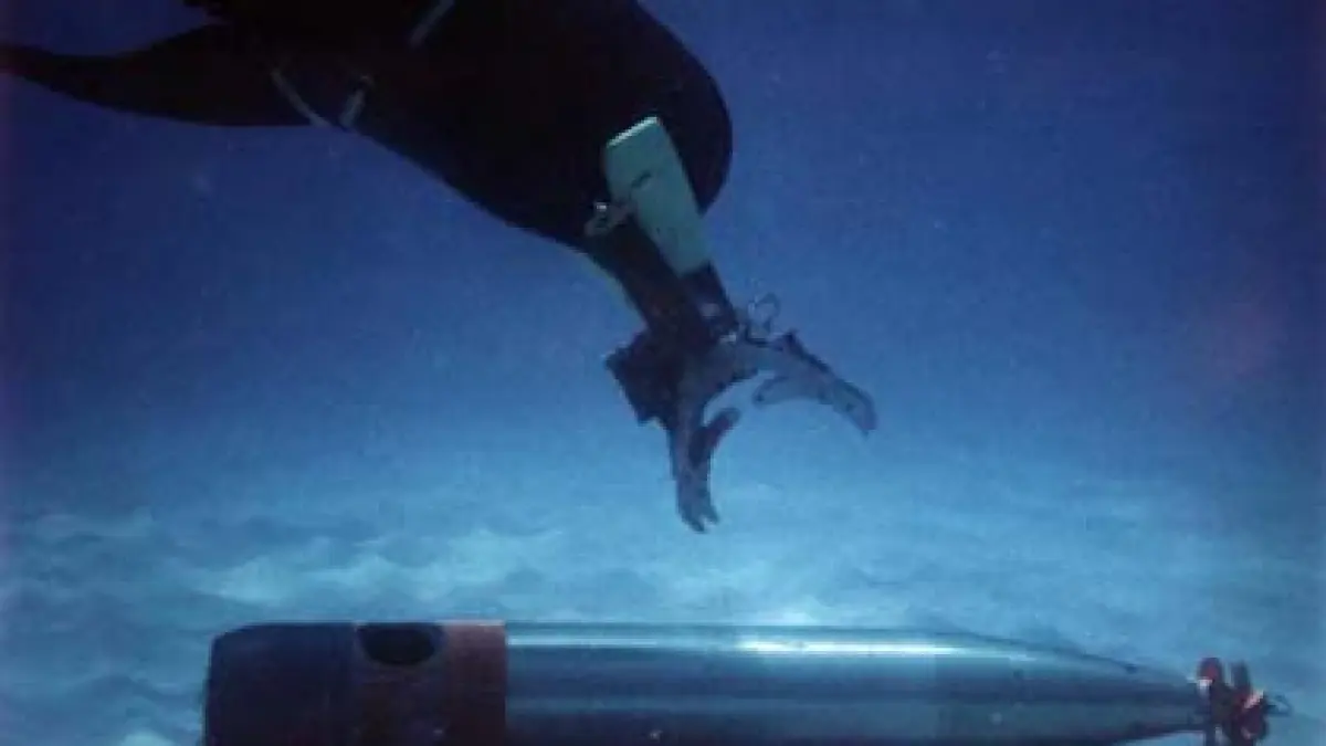 delfinii militari ai sua exercitiu in marea neagra