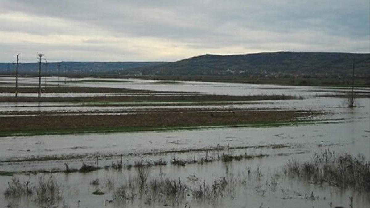inundatiile au facut prapad in nord vestul bulgariei