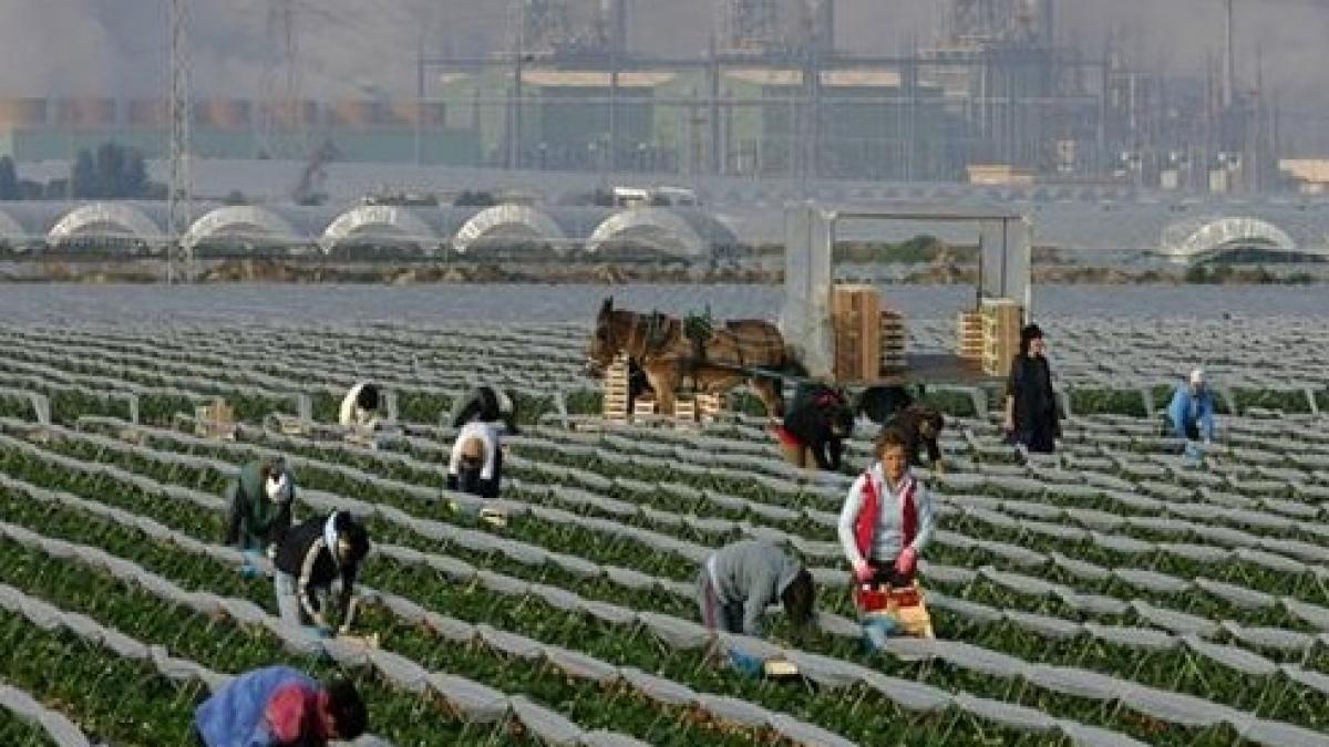 romanii cea mai numeroasa comunitate straina din spania cati conationali traiesc si lucreaza peste