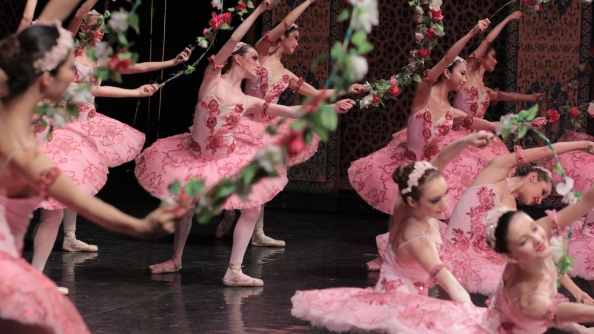 hotul de mare corsarul la opera nationala bucuresti