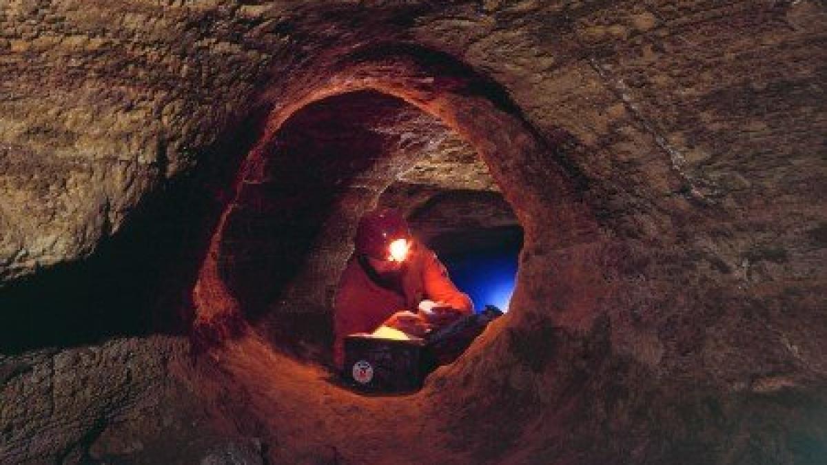 descoperire uluitoare in romania este singurul loc din lume unde viata ar merge mai departe chiar