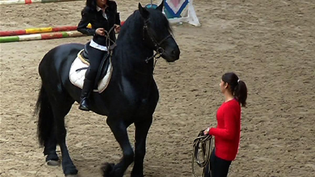 despre simplitate ca trend despre echitatie si secretele ochelarilor de soare duminica dimineata la