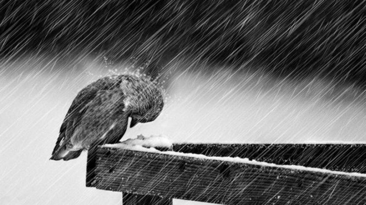 cum va fi vremea de 1 mai prognoza meteo pentru doua saptamani