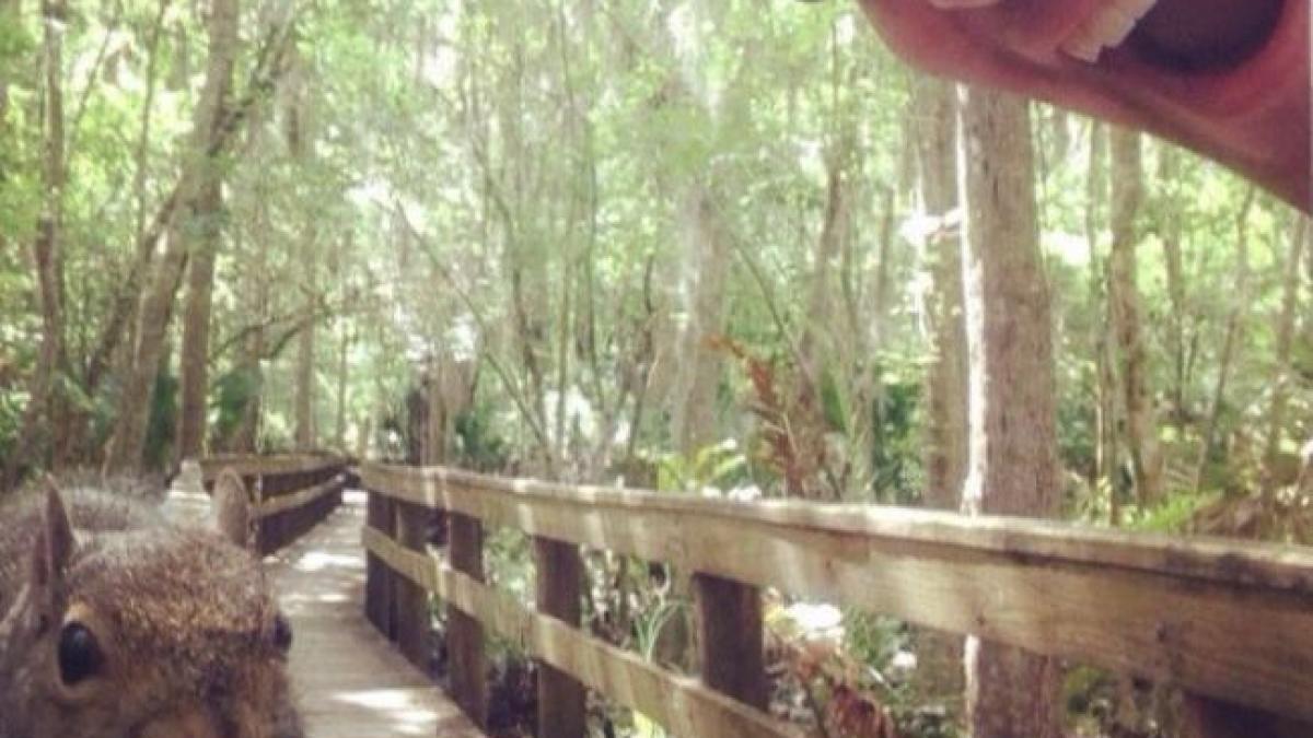 credeam ca veveritele sunt prietenoase ce a patit la cateva secunde dupa ce a facut poza asta