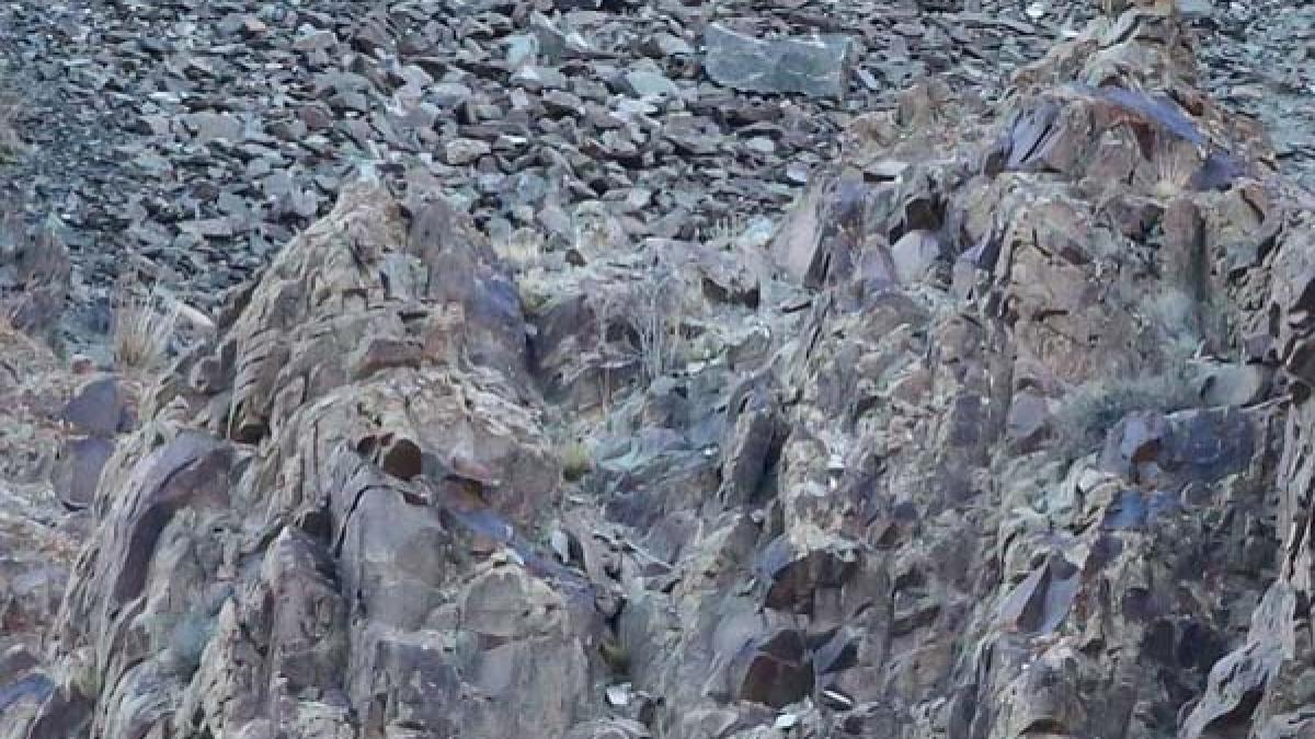 a fost surprins pentru prima data in aceasta fotografie am asistat la un atac supranatural