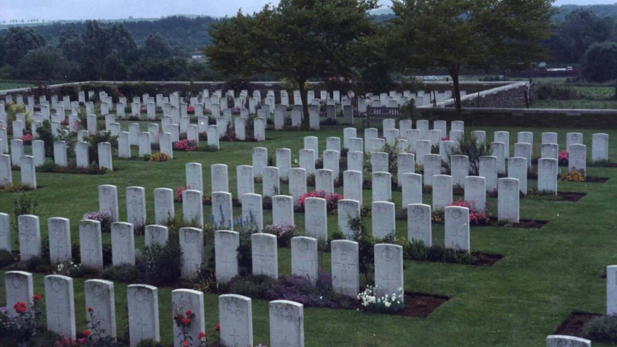 care este cea mai periculoasa specie ucide sute de mii de oameni in fiecare an