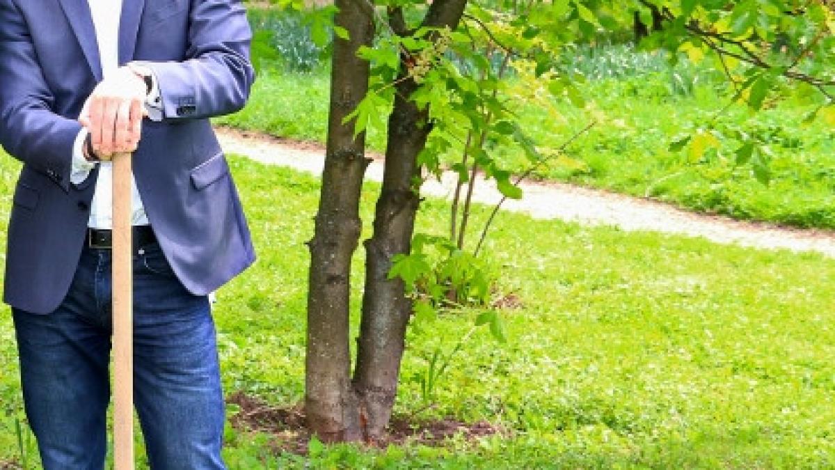 tommy rocher mostenitorul imperiului yves rocher bunicul meu a fost un vizionar