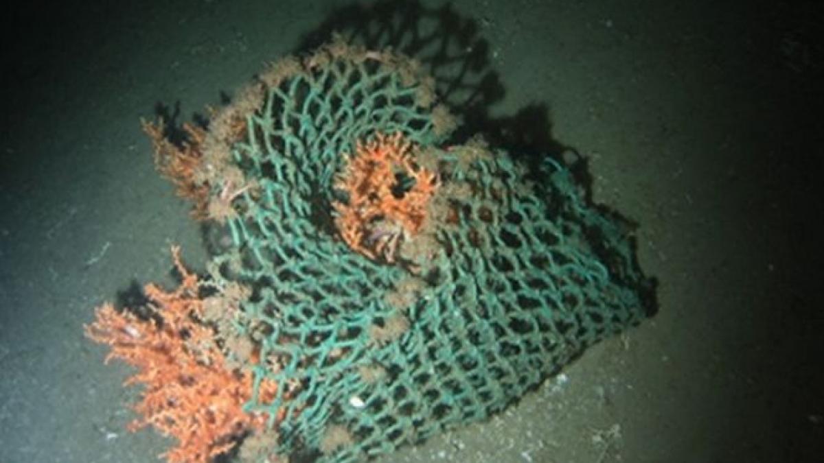 gunoaiele au ajuns pe fundul oceanelor inaintea noastra descoperirea neplacuta facuta de oamenii de