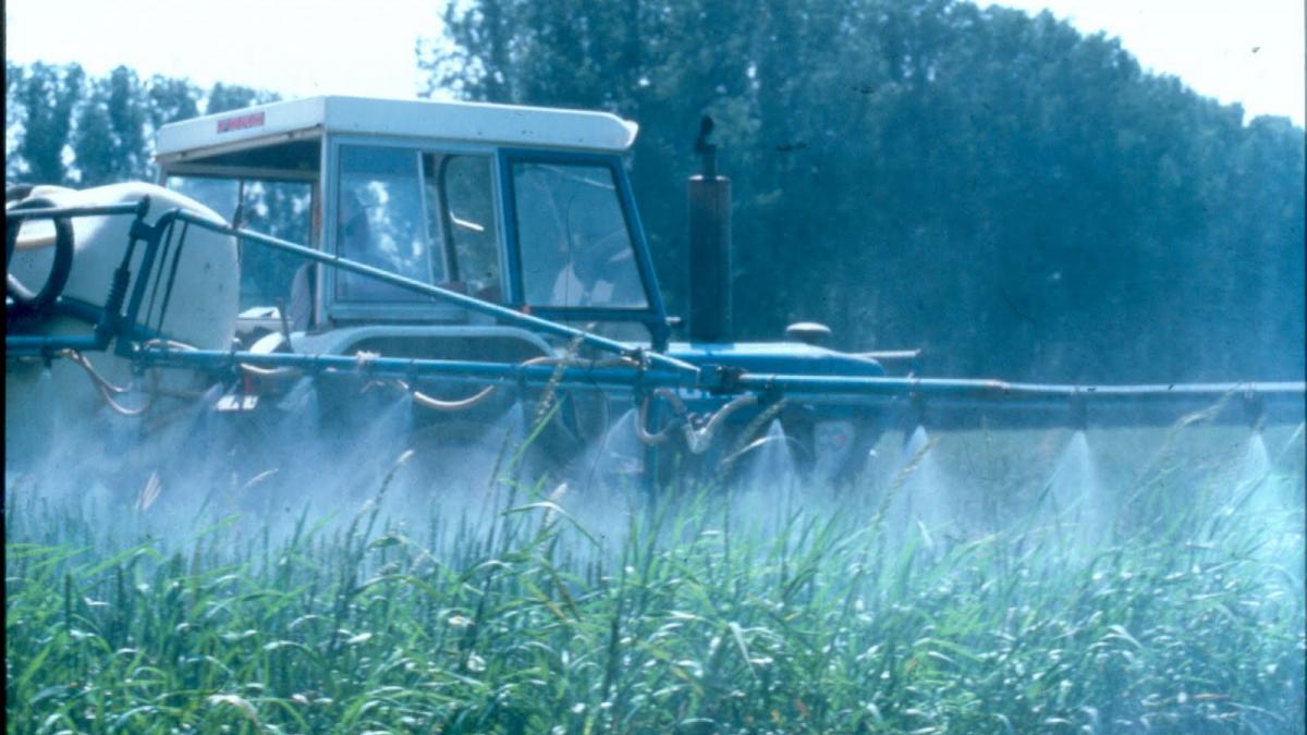 produsele alimentare din china contaminate cu metale grele datele facute publice de guvernul chinez
