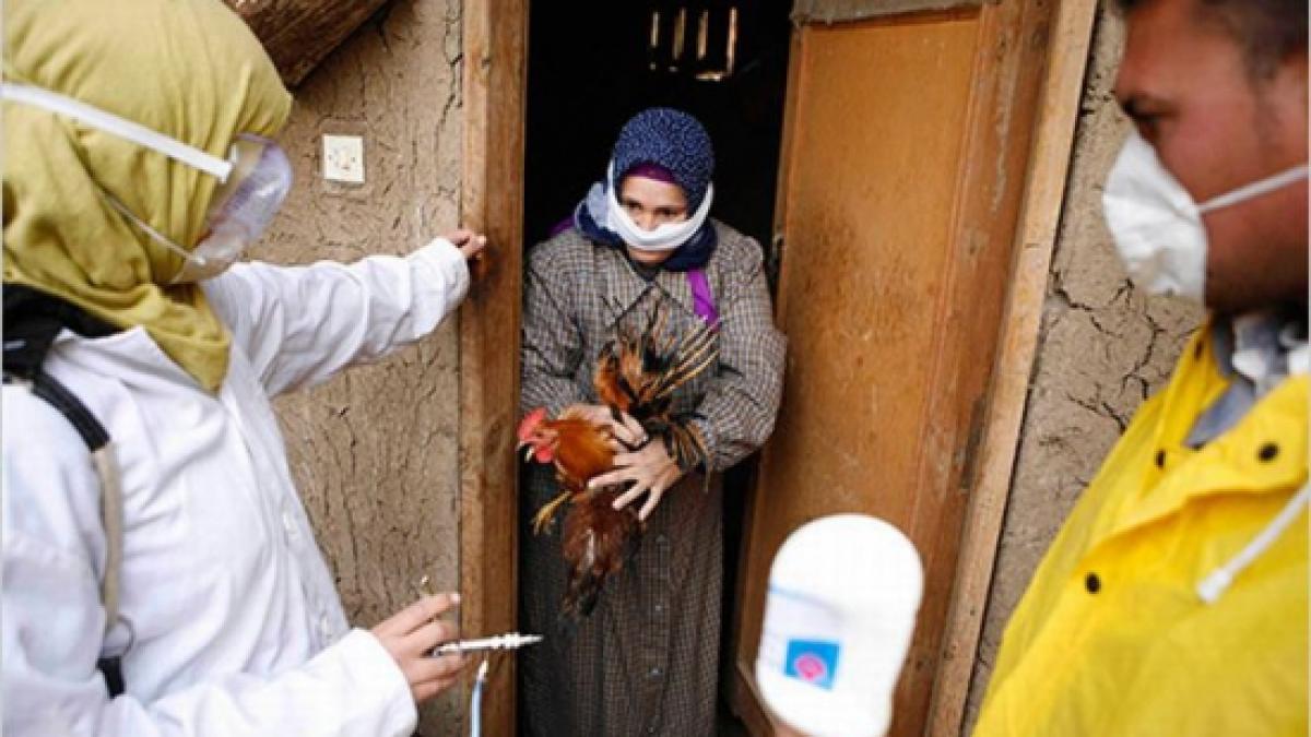 china anunta primul deces provocat de virusul gripei aviare h5n6