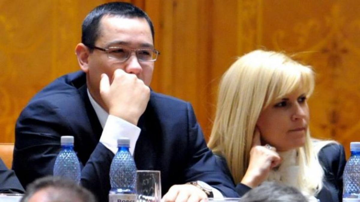 deziluzia optica pisicul si pisicuta