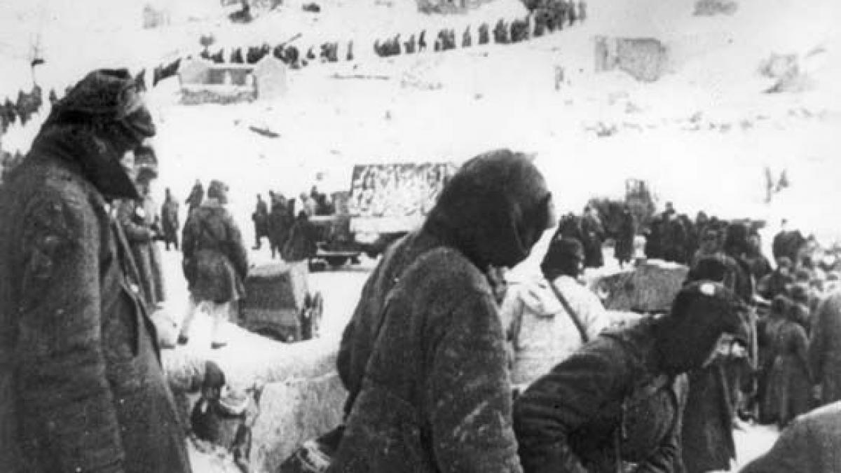 marturii de la stalingrad de cum se lasa intunericul haitele de sacali dadeau tarcoale lagarului