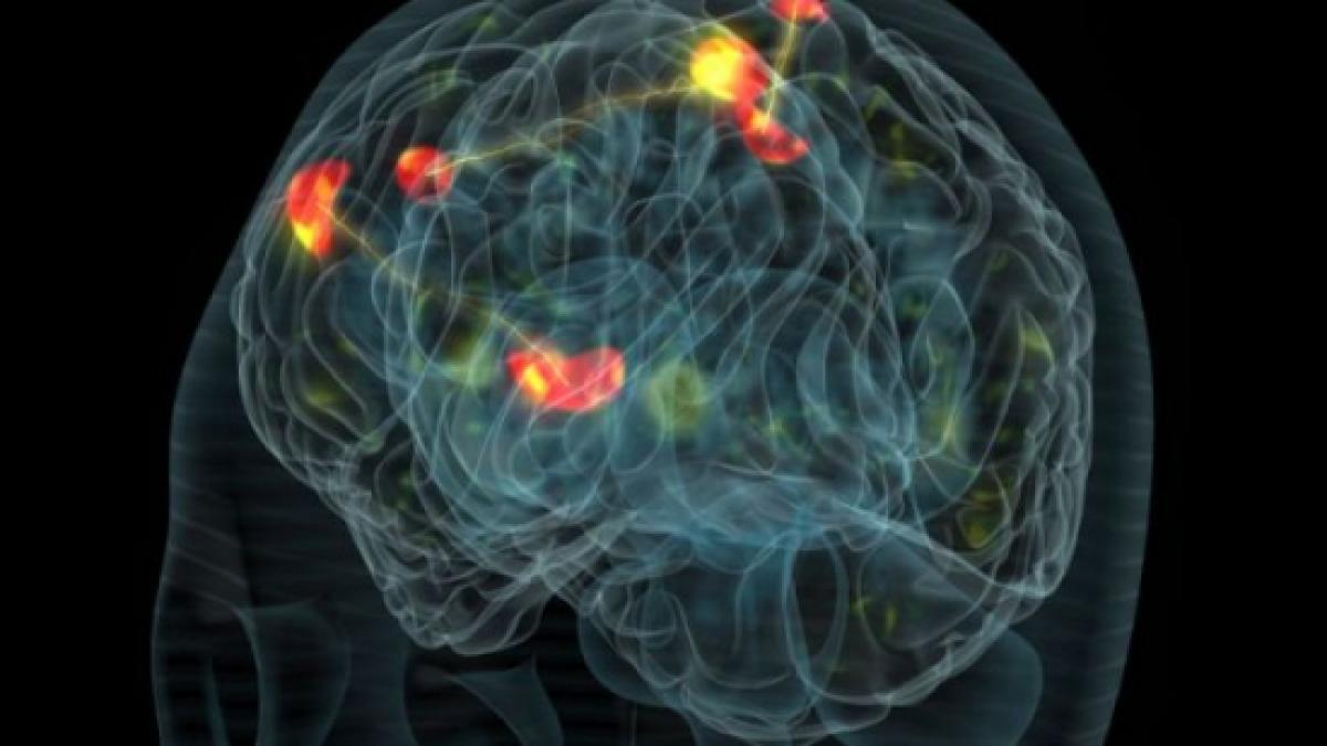 neuronii cheia descoperirii unui mare mister vezi despre ce este vorba