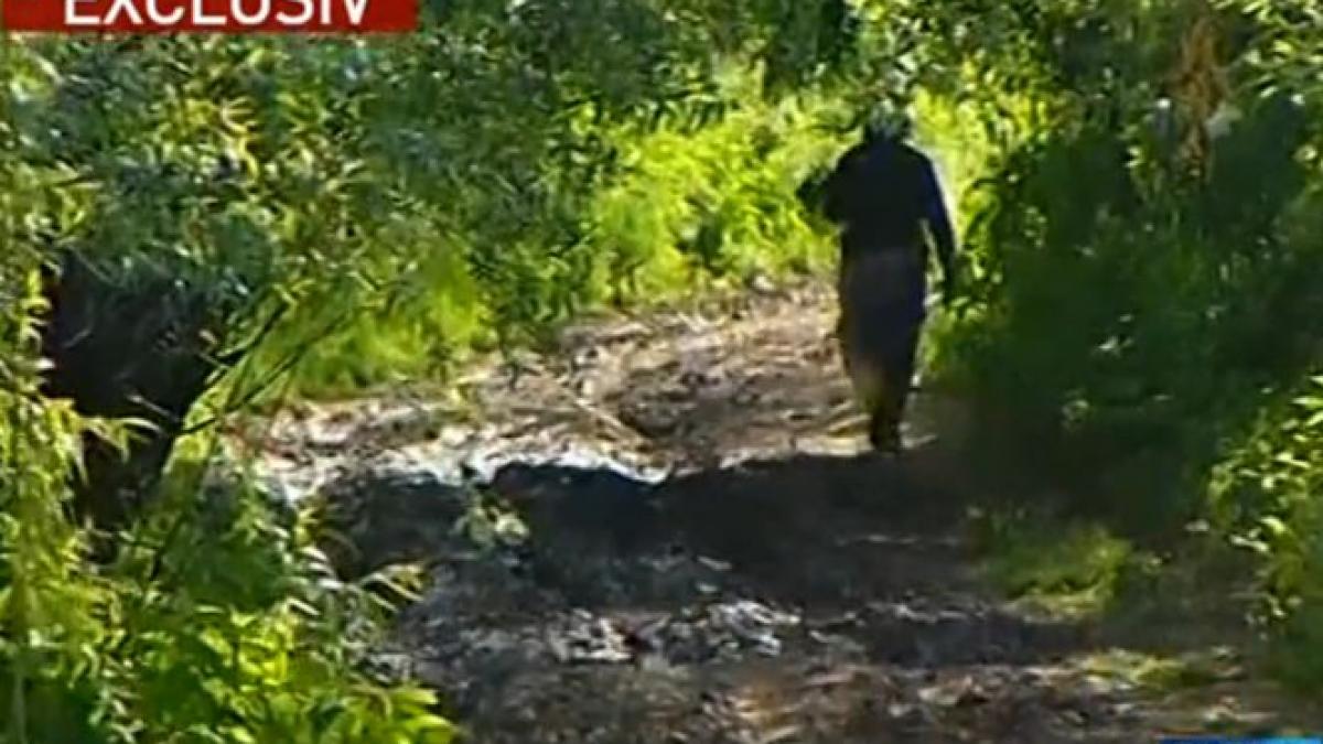 sinteza zilei reportaj incredibil despre saracia din comuna nana