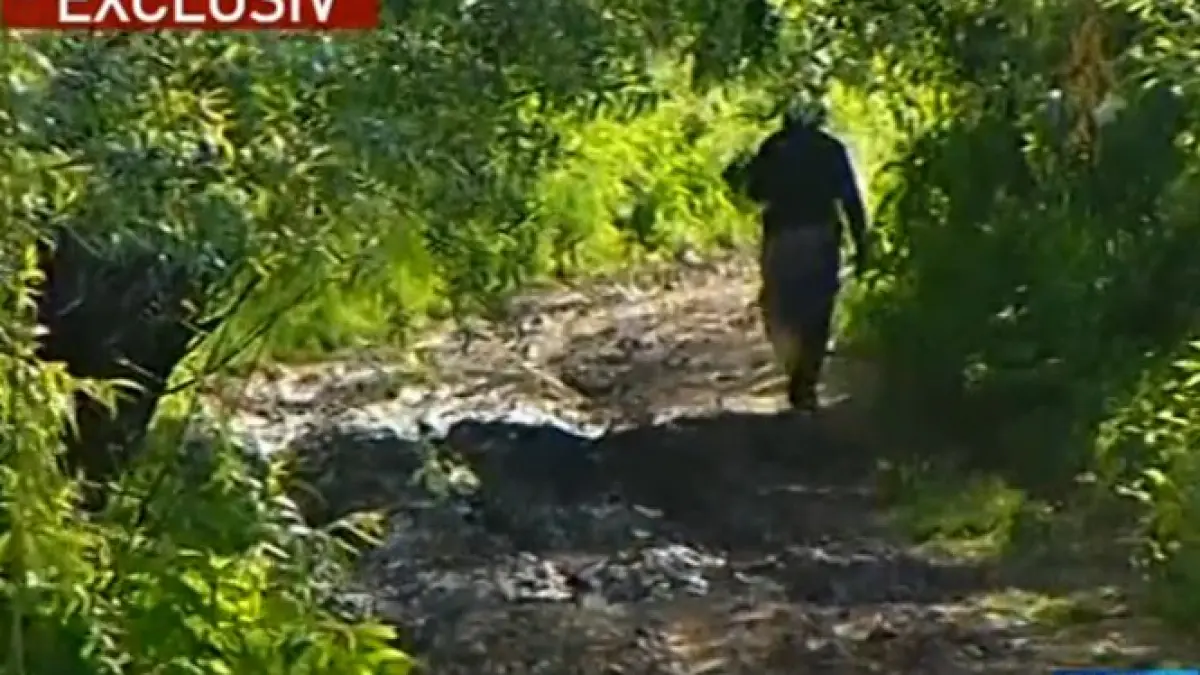 sinteza zilei reportaj incredibil despre saracia din comuna nana