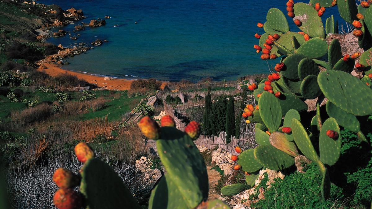 activitati distractive in nadur