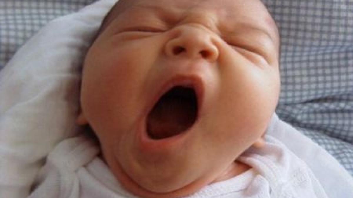 cascatul functii uimitoare pentru creier uite la ce este benefic